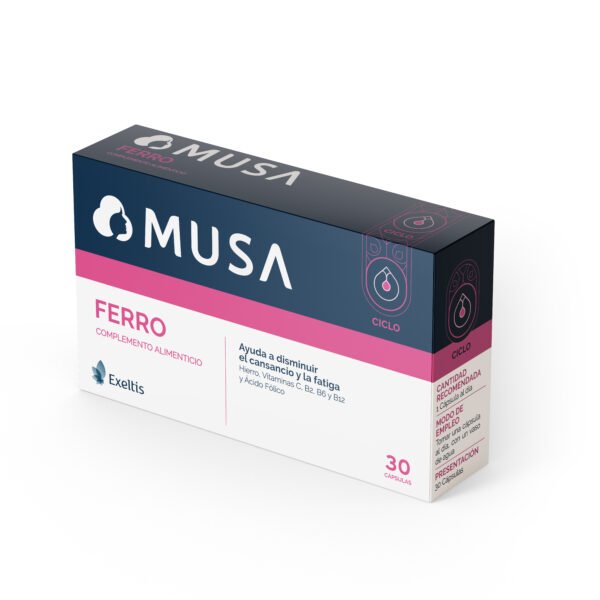 FERRO MUSA