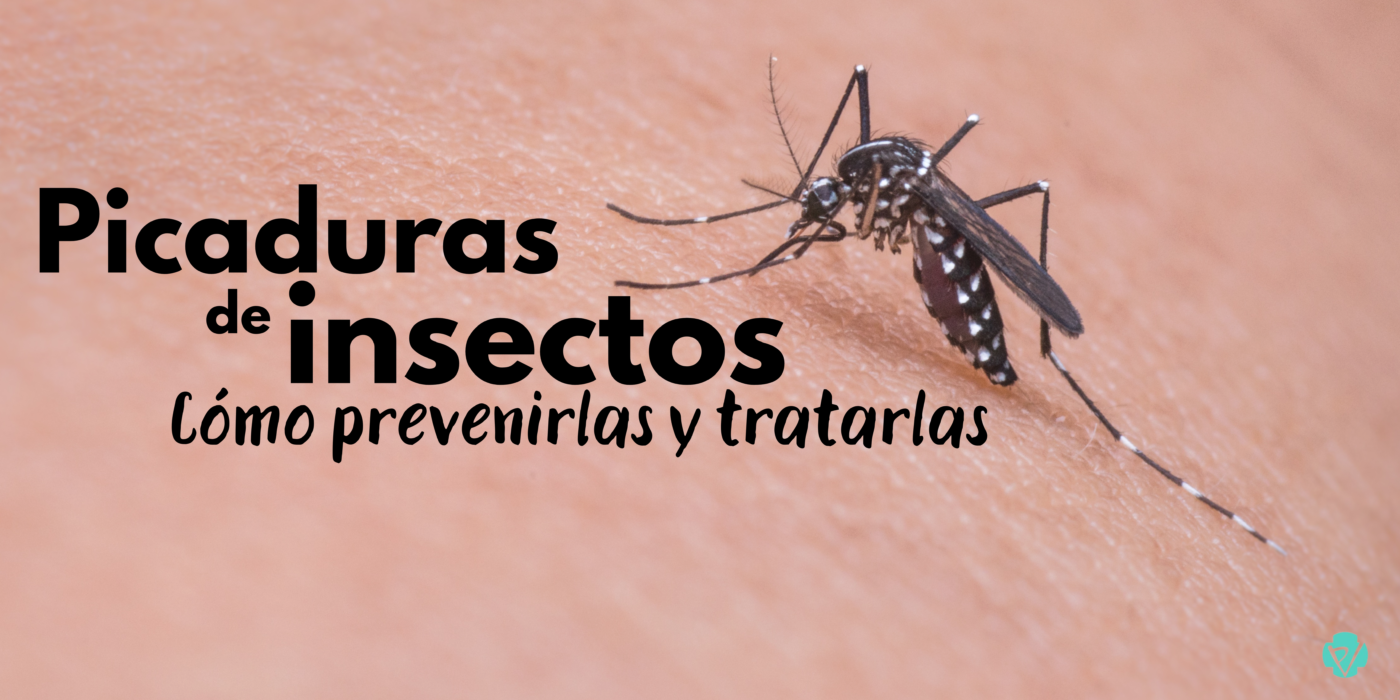 picaduras de insectos