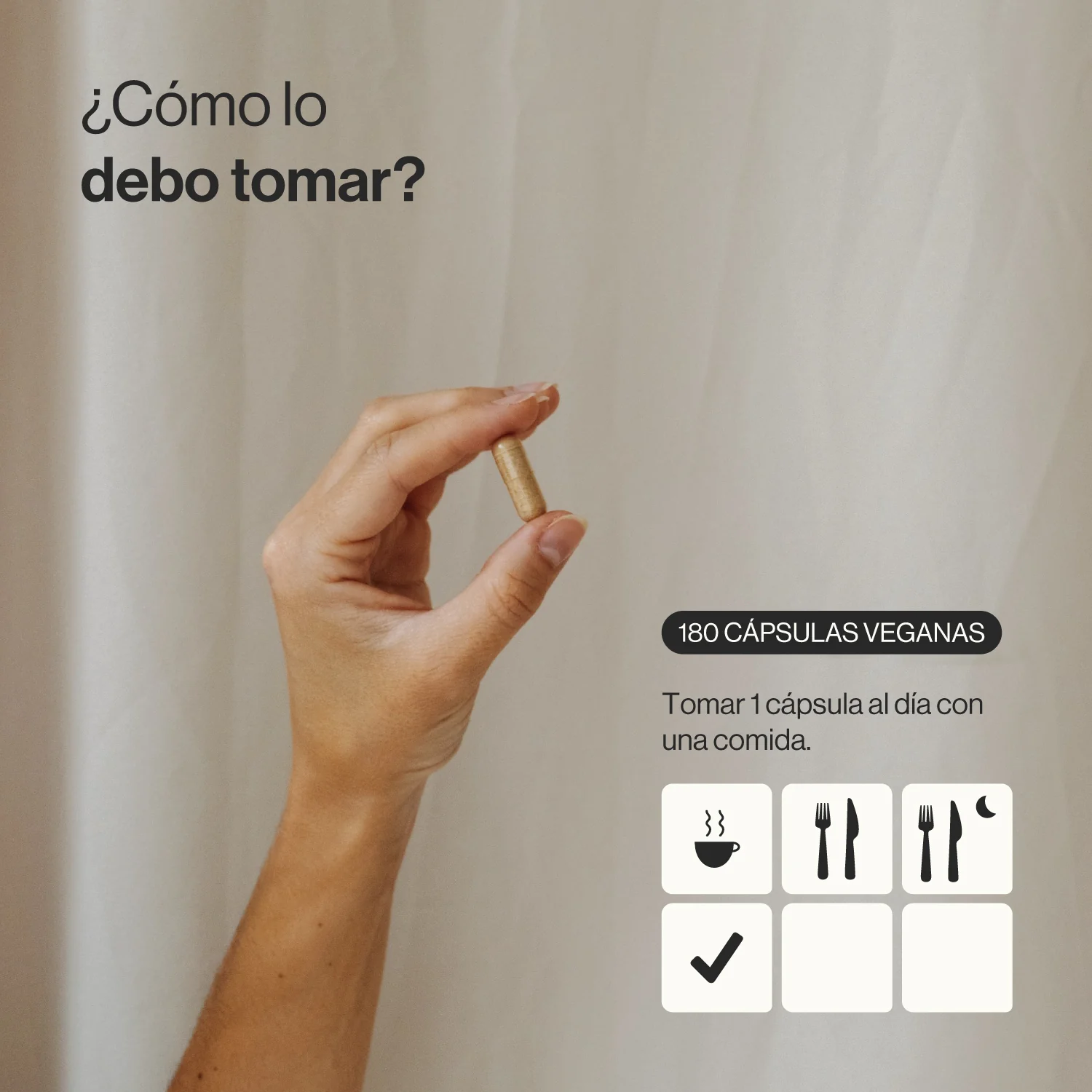 ZENement Extracto de Reishi Ecológico 180 Cápsulas Veganas - Imagen 3